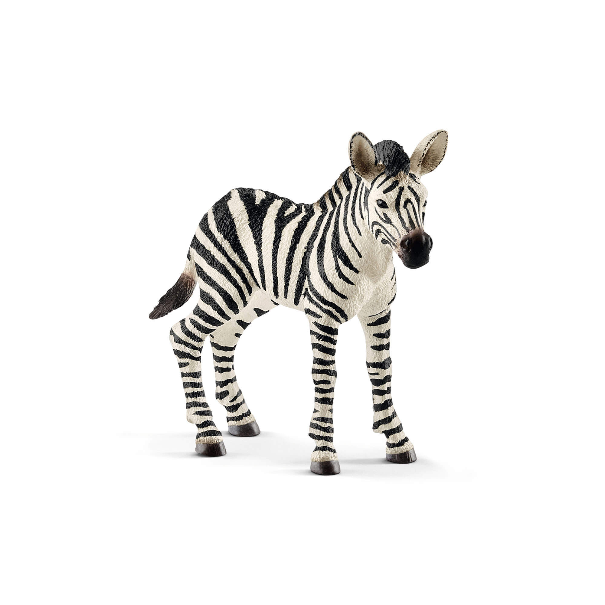Schleich Wild Life Zebra Foal Animal Figure