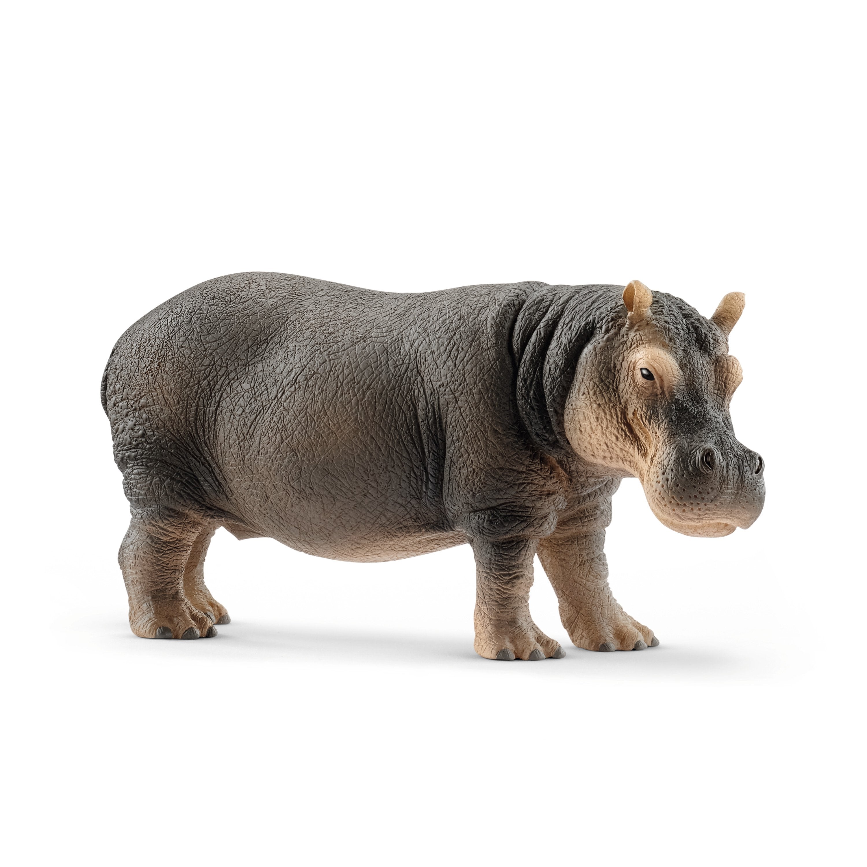 Schleich Wild Life Hippopotamus Animal Figure