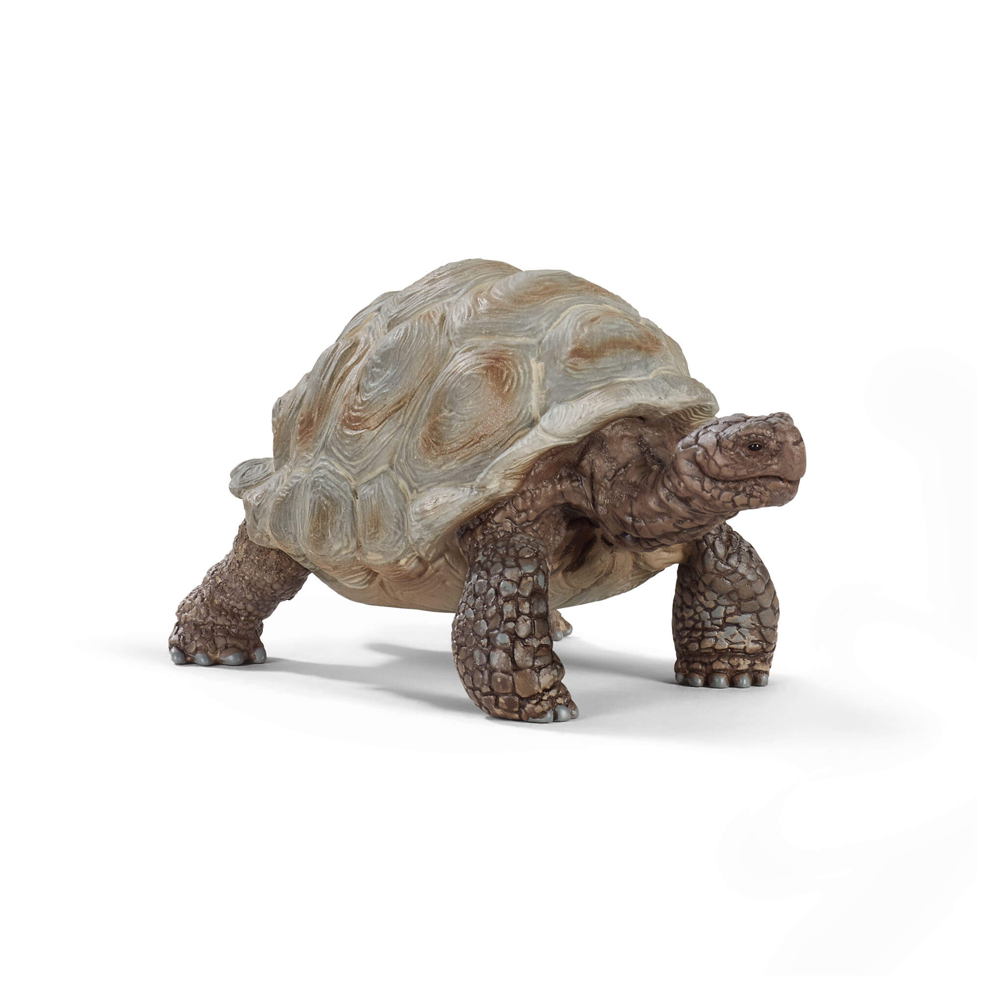 Schleich Wild Life Giant Tortoise Animal Figure