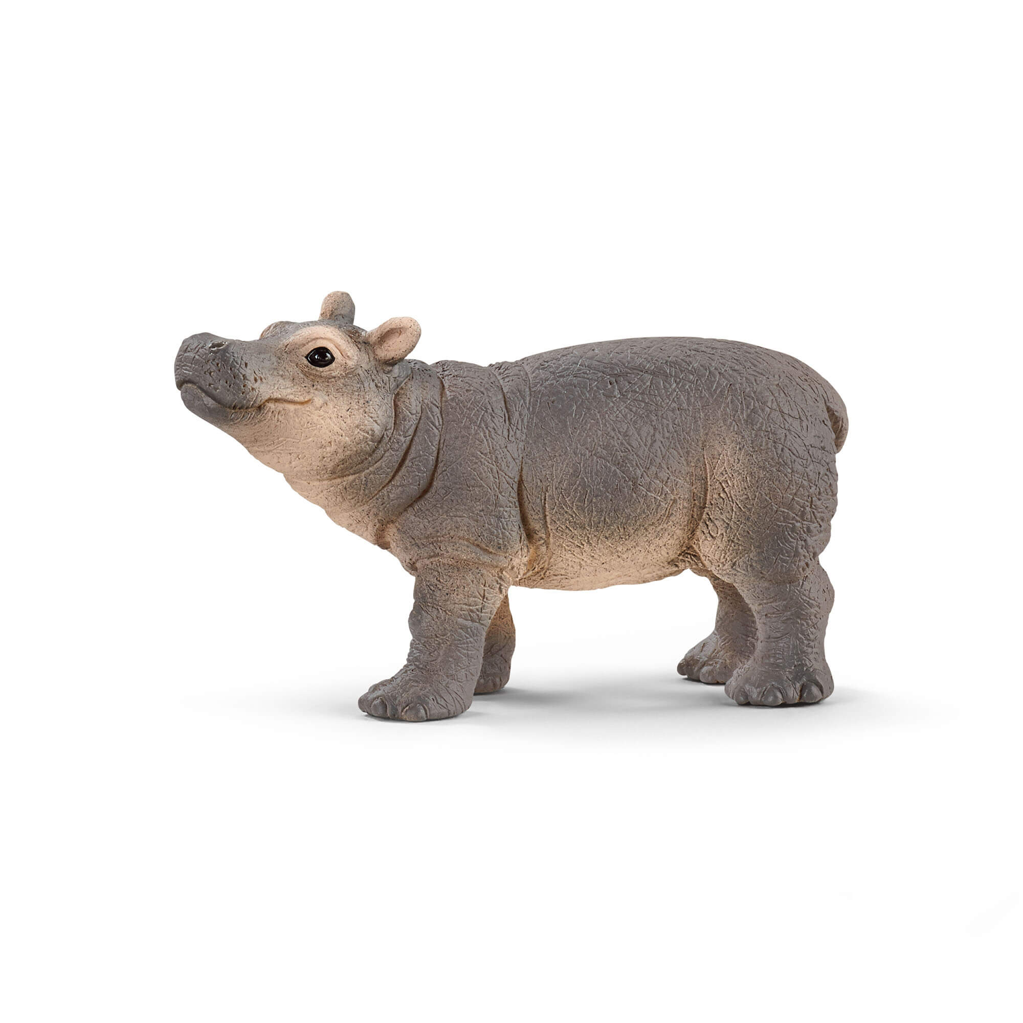 Schleich Wild Life Baby Hippopotamus Animal Figure