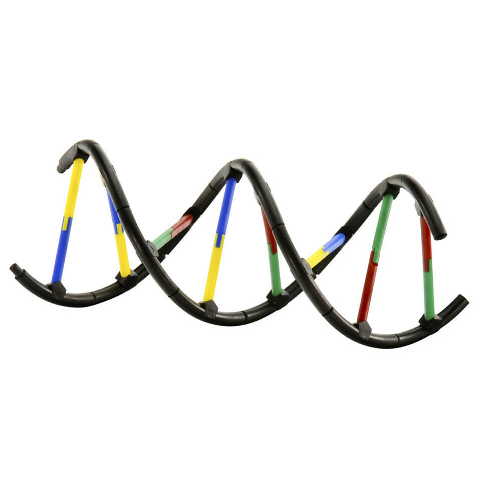 Thames and Kosmos Genetics and DNA Lab