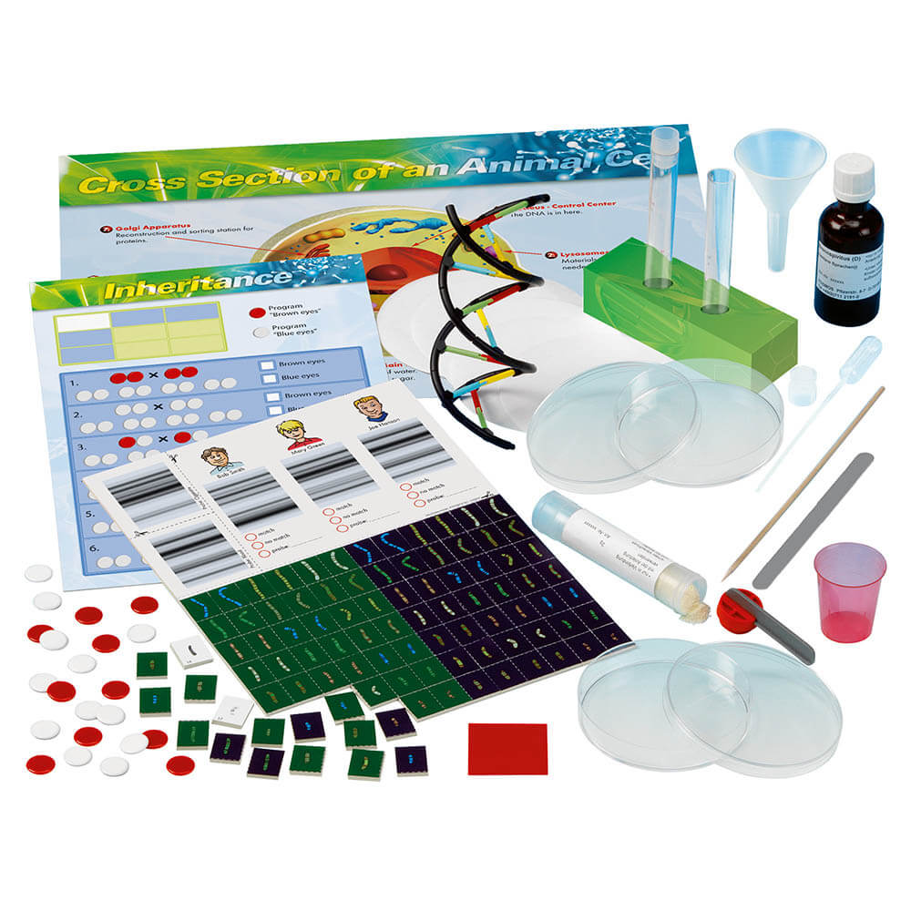 Thames and Kosmos Genetics and DNA Lab