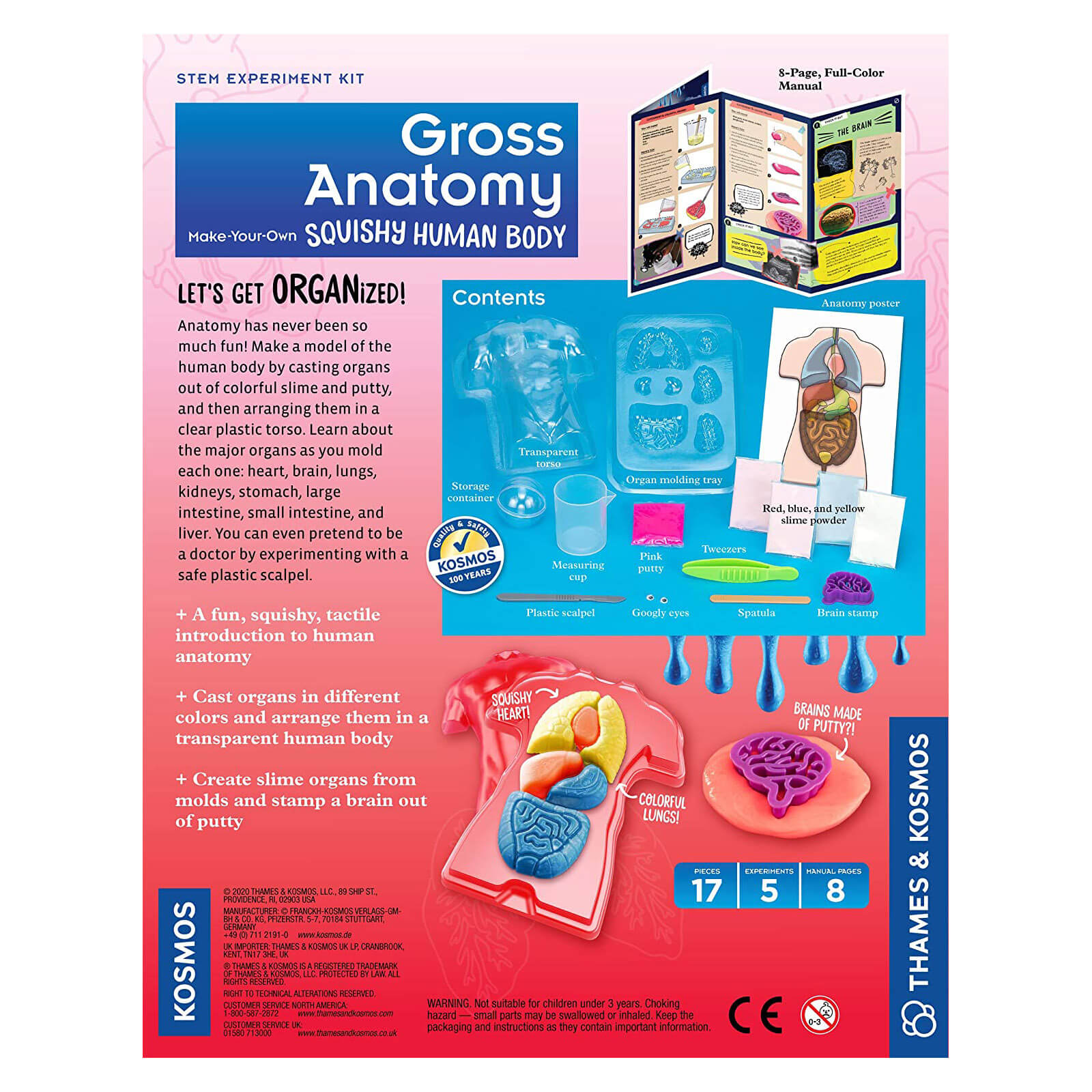 Thames and Kosmos Gross Anatomy: Make-Your-Own Squishy Human Body