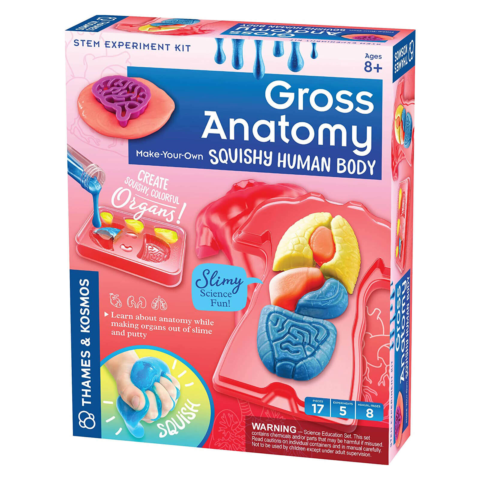 Thames and Kosmos Gross Anatomy: Make-Your-Own Squishy Human Body