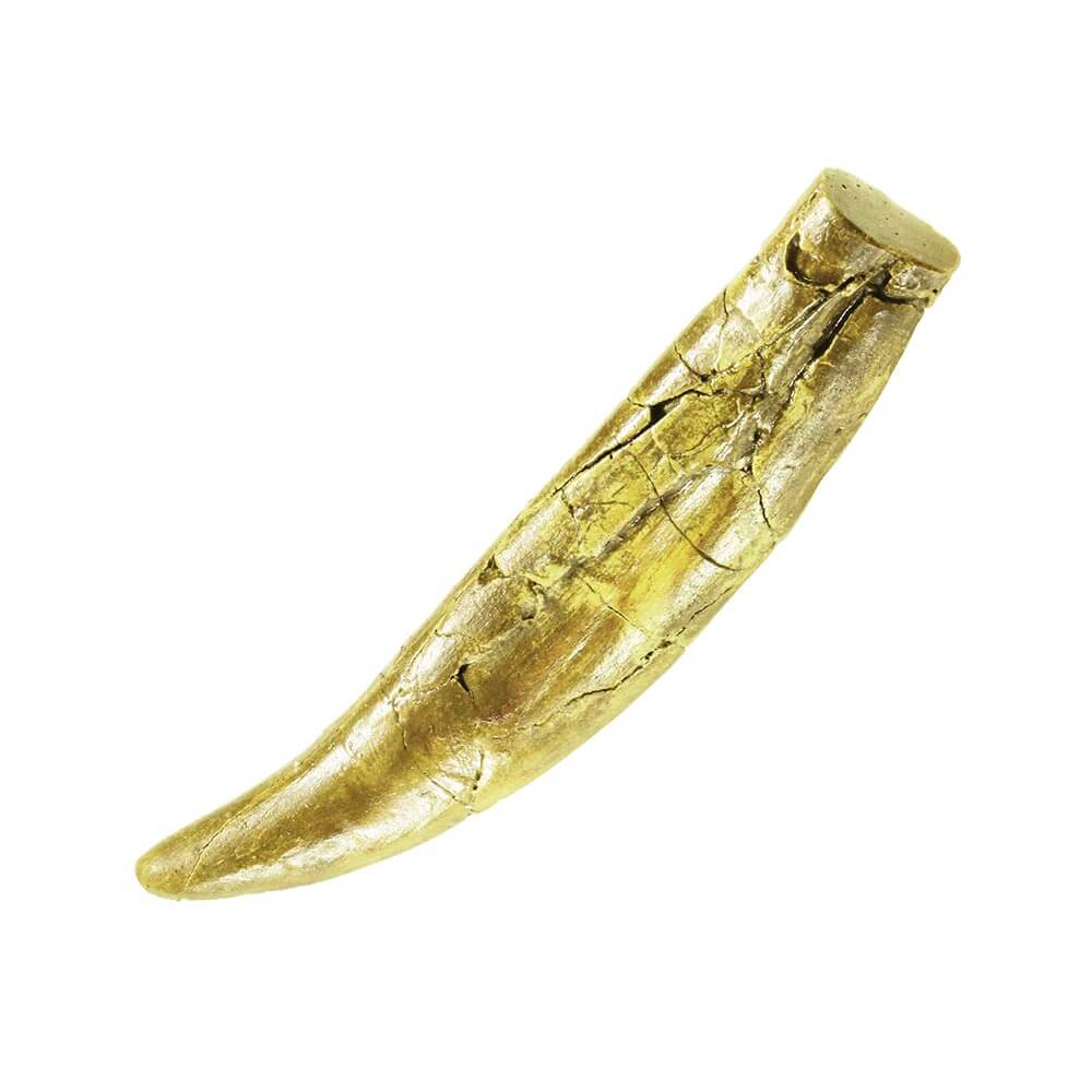 Thames and Kosmos I Dig It! Dinos - T. Rex Tooth Excavation Kit