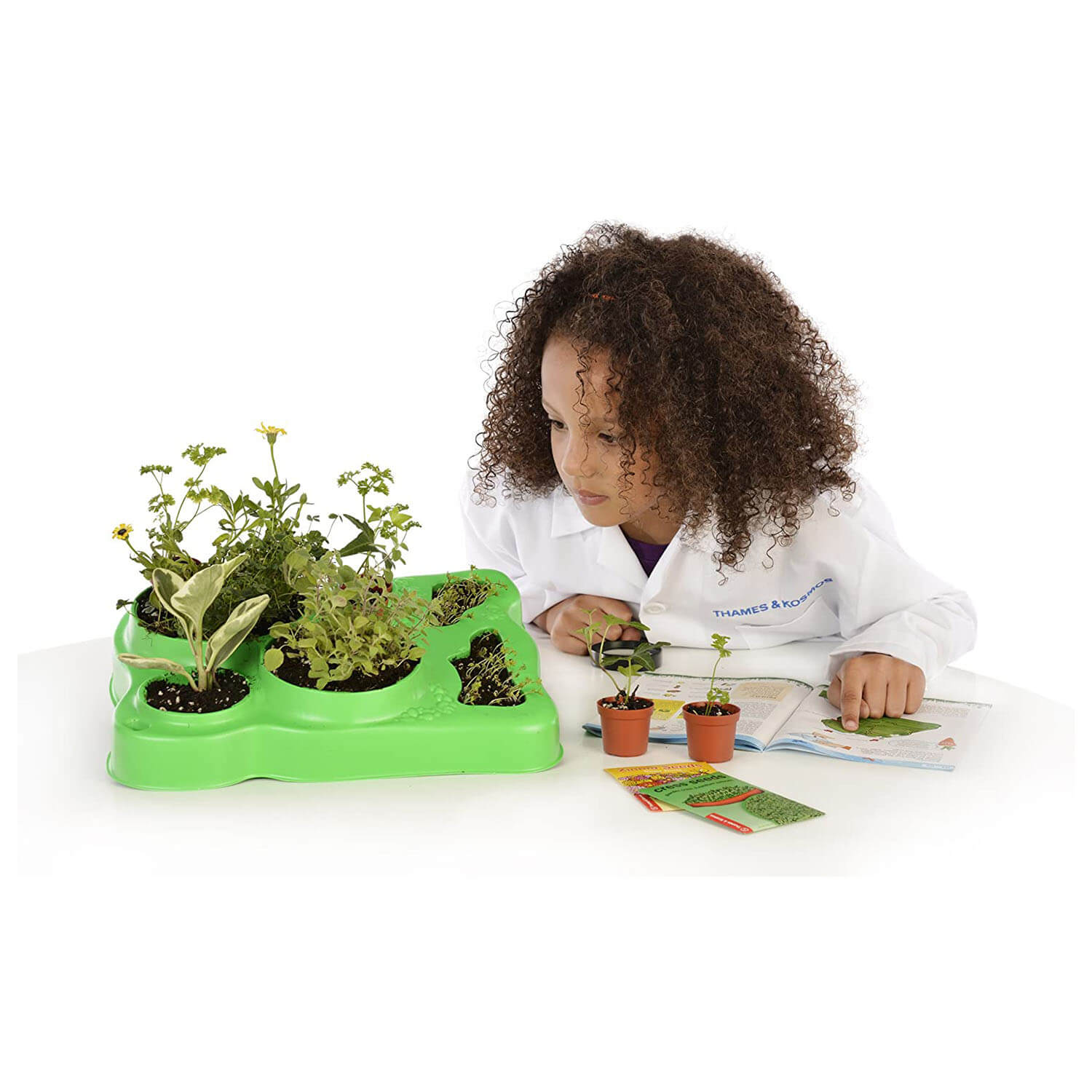 Thames and Kosmos Botany - Experimental Greenhouse