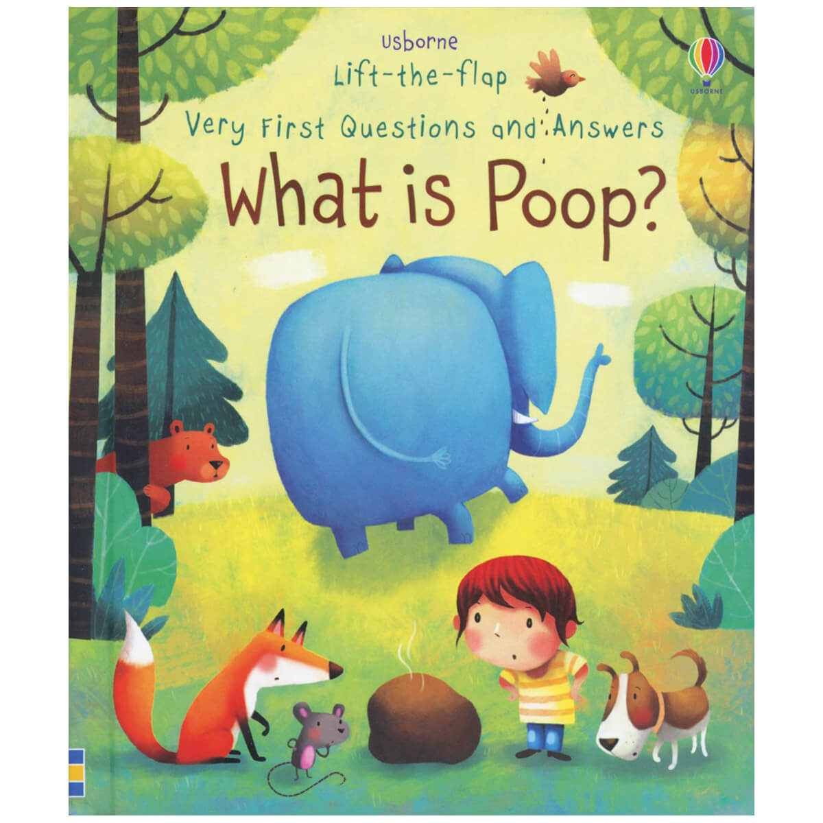 Usborne Lift-the-Flap Very First Questions: What is Poop?