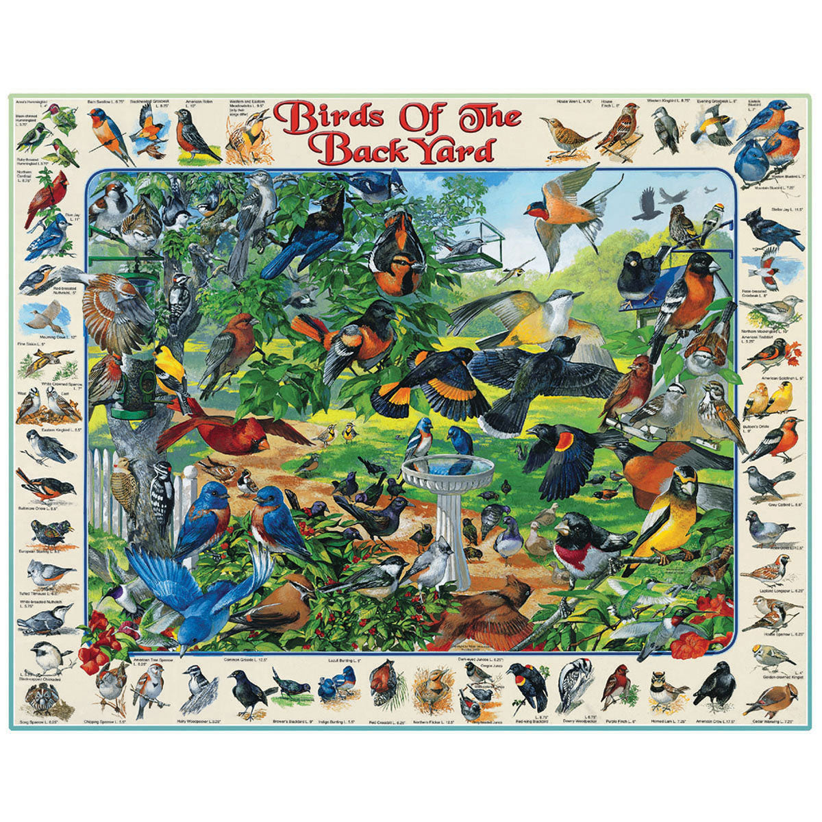 White Mountain Puzzles Birds of the Back Yard 1000 Piece Jigsaw Puzzle