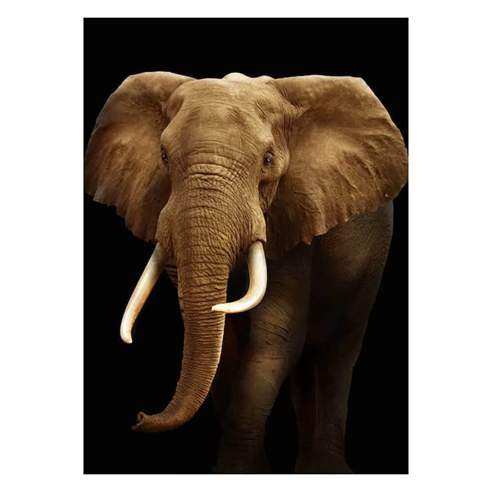 Wild Republic 3D Magnet Elephant
